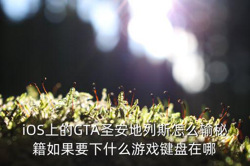 iOS上的GTA圣安地列斯怎么输秘籍如果要下什么游戏键盘在哪