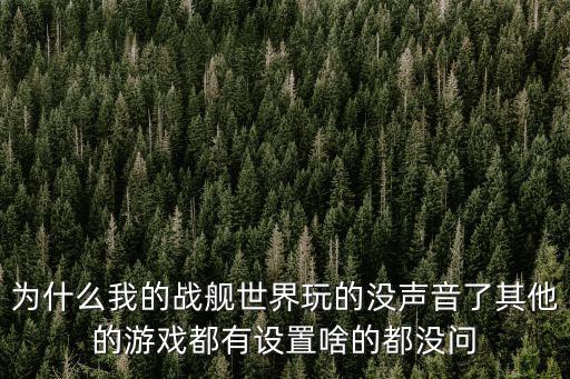 为什么我的战舰世界玩的没声音了其他的游戏都有设置啥的都没问
