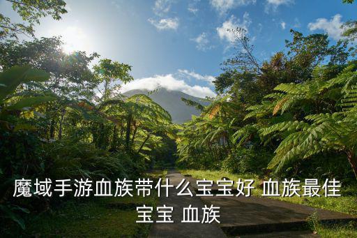 魔域手游血族带什么宝宝好 血族最佳宝宝 血族