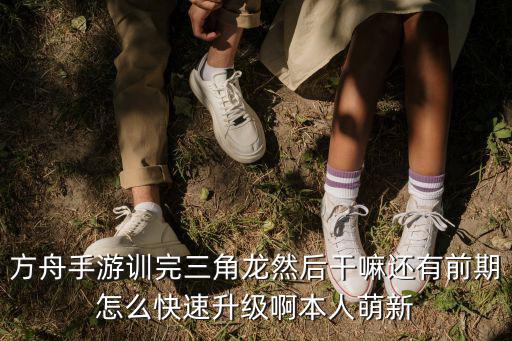 方舟手游训完三角龙然后干嘛还有前期怎么快速升级啊本人萌新