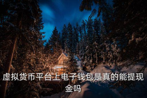 虚拟货币平台上电子钱包是真的能提现金吗
