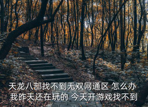 天龙手游无双怎么能到，天龙八部找不到无双网通区 怎么办 我昨天还在玩的 今天开游戏找不到