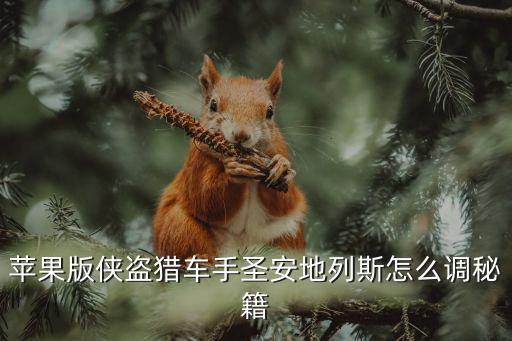 苹果手游gtasa怎么用秘籍，侠盗猎车手秘籍手机ios怎么用