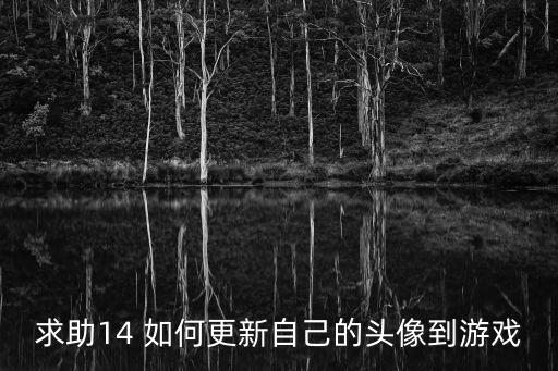求助14 如何更新自己的头像到游戏