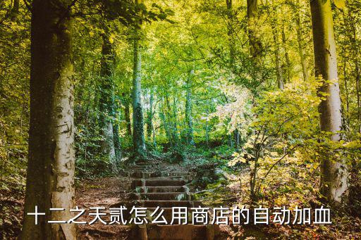十二之天贰怎么用商店的自动加血