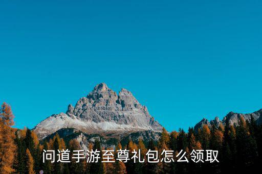 问道手游至尊礼包怎么领取