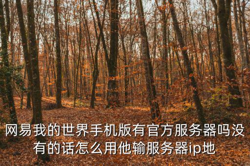 网易我的世界手机版有官方服务器吗没有的话怎么用他输服务器ip地