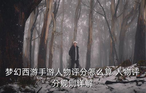 梦幻西游手游人物评分怎么算 人物评分规则详解