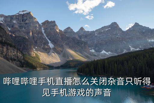 手游直播怎么关闭话外音，哔哩哔哩手机直播怎么关闭杂音只听得见手机游戏的声音