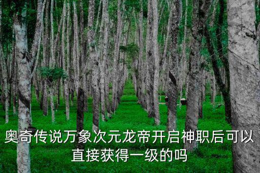 奥奇传说万象次元龙帝开启神职后可以直接获得一级的吗