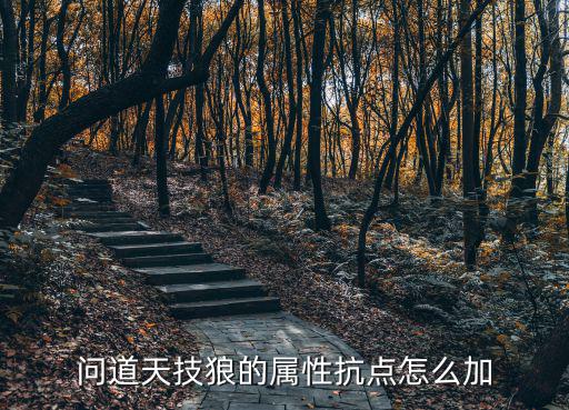 问道天技狼的属性抗点怎么加