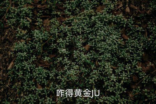 圣斗士星矢手游中怎么获得黄金，有什么好的方法可以获得黄金呀在大明龙权里