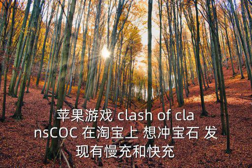 苹果游戏 clash of clansCOC 在淘宝上 想冲宝石 发现有慢充和快充