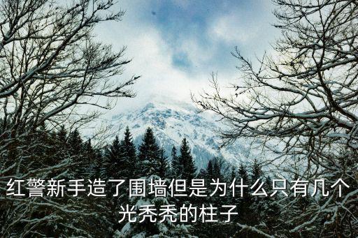 红警新手造了围墙但是为什么只有几个光秃秃的柱子