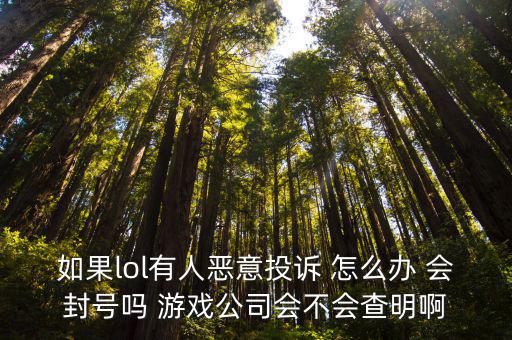 如果lol有人恶意投诉 怎么办 会封号吗 游戏公司会不会查明啊