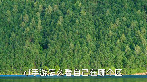 cf手游怎么看自己在哪个区