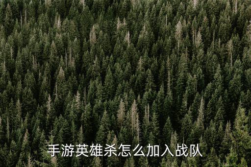 手游英雄杀怎么加入战队