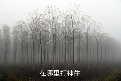 在哪里打神牛