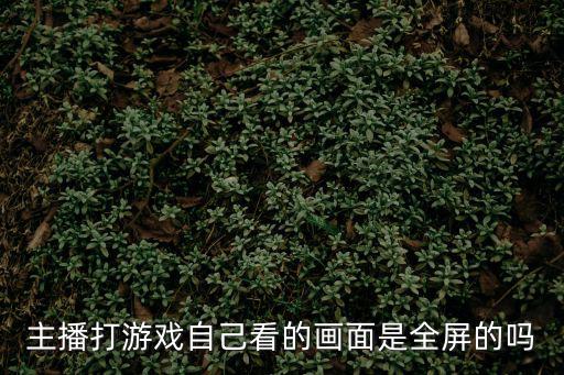 主播打游戏自己看的画面是全屏的吗