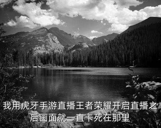 我用虎牙手游直播王者荣耀开启直播之后画面就一直卡死在那里