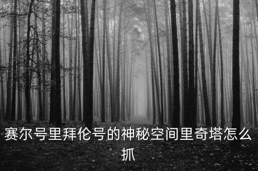 赛尔号里拜伦号的神秘空间里奇塔怎么抓