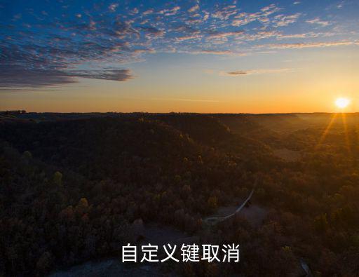 英雄联盟手游按键自定义怎么删除，自定义键取消