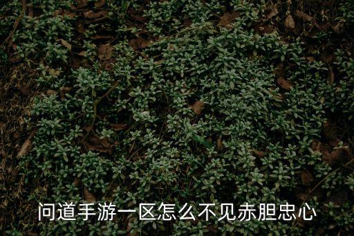 问道手游忠肝义胆怎么消失了，问道手游拆分装备装备怎么消失了
