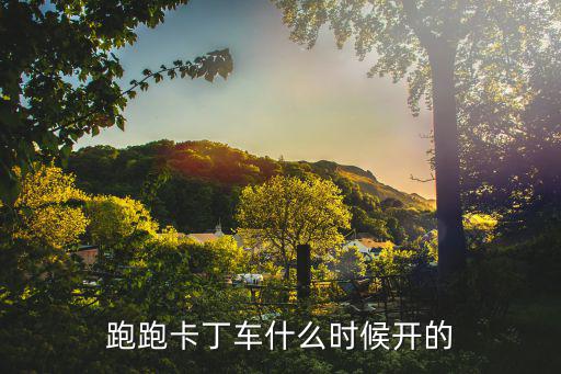 跑跑卡丁车什么时候开的