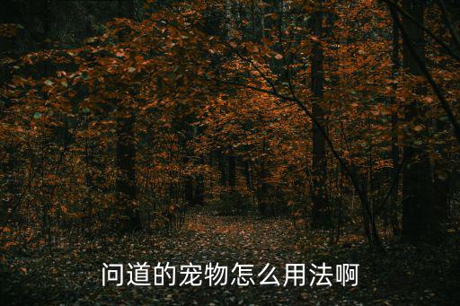 问道手游隐藏宠物怎么用，怎么使隐身的宠物出来