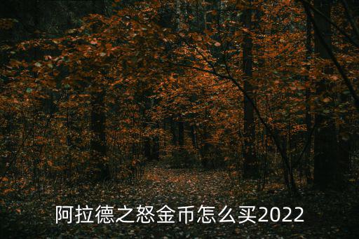 阿拉德之怒金币怎么买2022