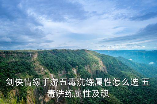 剑侠情缘手游五毒洗练属性怎么选 五毒洗练属性及魂