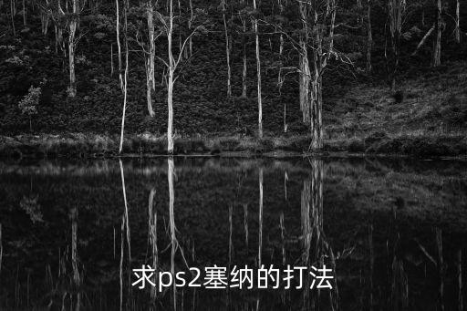 求ps2塞纳的打法