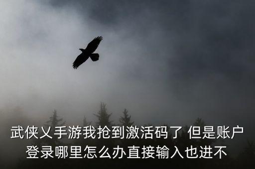 武侠乂手游我抢到激活码了 但是账户登录哪里怎么办直接输入也进不
