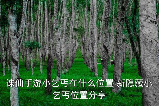 诛仙手游怎么触发肯德基，诛仙手游小乞丐在什么位置 新隐藏小乞丐位置分享
