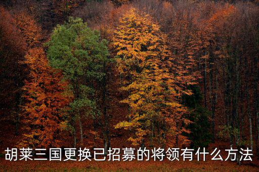 三国后宫团手游怎么换将领，胡莱三国怎样换驻城将领