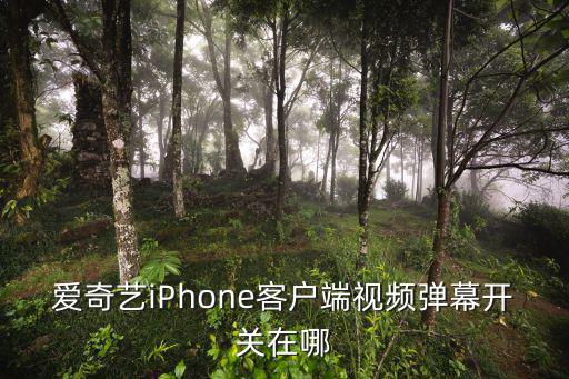 爱奇艺iPhone客户端视频弹幕开关在哪