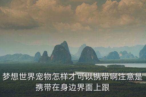 梦想世界宠物怎样才可以携带啊注意是携带在身边界面上跟