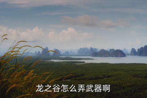 龙之谷怎么弄武器啊
