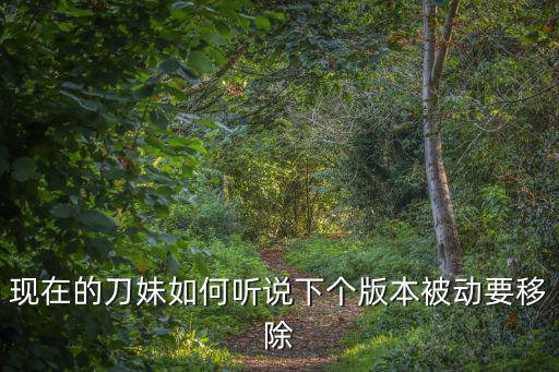 现在的刀妹如何听说下个版本被动要移除