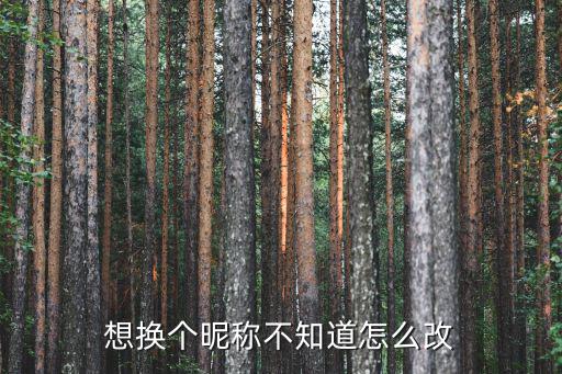 解说猫和老鼠手游怎么改名字，小时候小霸王的一款猫和老鼠的游戏求名字