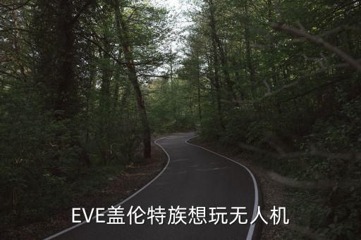 eve手游盖伦特怎么安装无人机，EVE盖伦特族想玩无人机