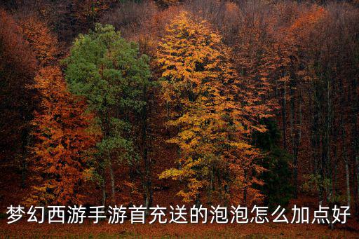 梦幻西游手游首充送的泡泡怎么加点好