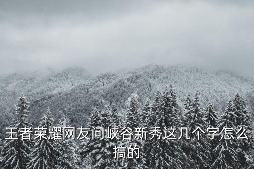 王者荣耀网友问峡谷新秀这几个字怎么搞的
