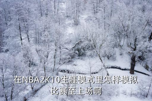 在NBA2K10生涯模式里怎样模拟比赛至上场啊