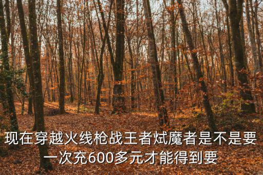 现在穿越火线枪战王者烒魔者是不是要一次充600多元才能得到要