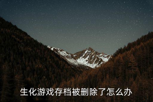 生化游戏存档被删除了怎么办