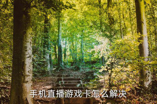 手机直播游戏卡怎么解决