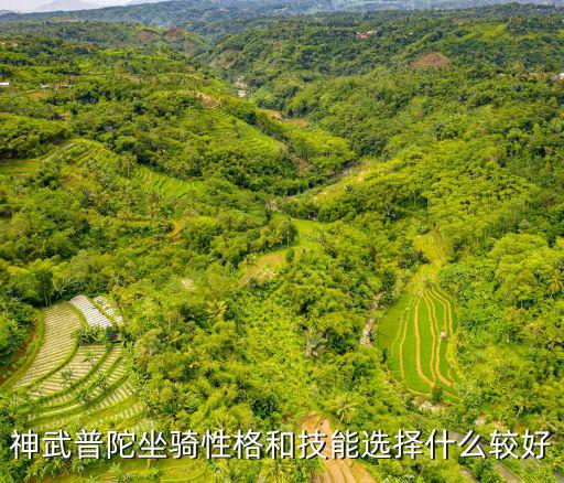 神武普陀坐骑性格和技能选择什么较好
