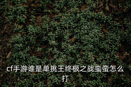cf手游谁是单挑王终极之战蛮蛮怎么打