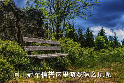 问下冠军信誉这里游戏怎么玩呢